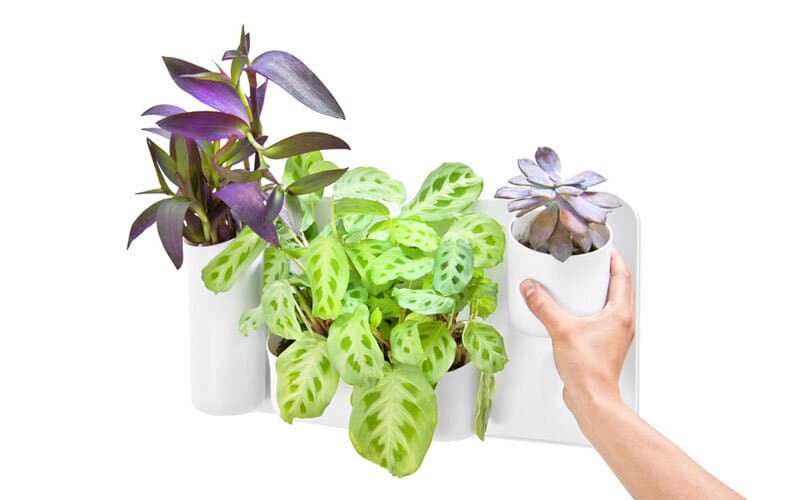 urbio - turn your wall into a beautiful garden11