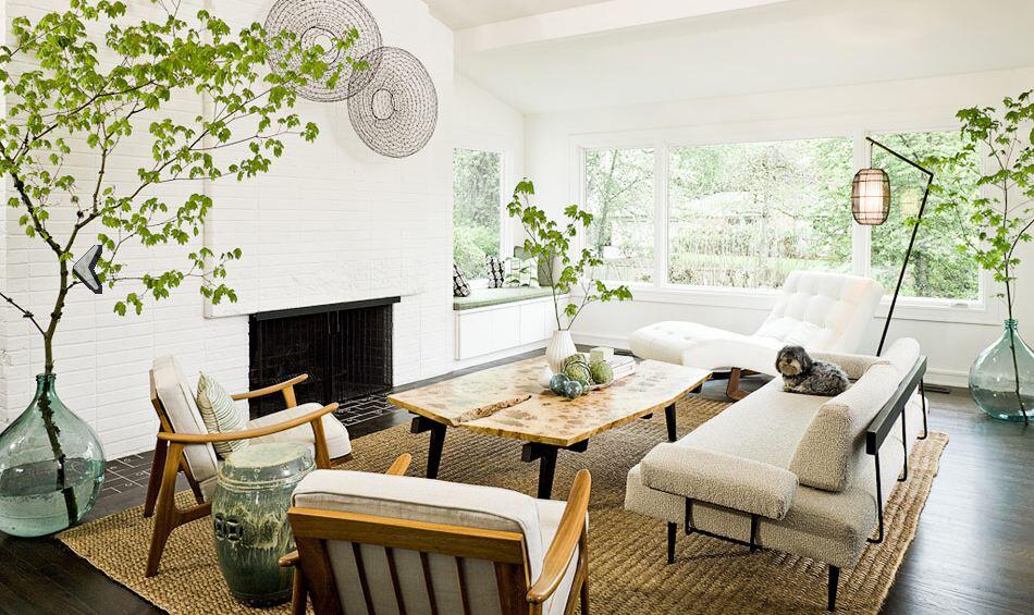 natural modern rustic living room