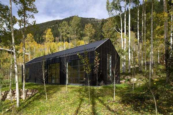 Cottage Black Provides a Retreat Within a Dense Aspen Grove