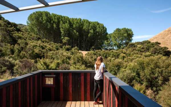 Ecosanctuary Welcome Shelter: Floating Roof Over the Wooden Boxes