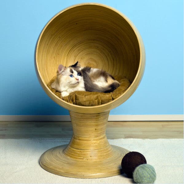 Modern cat furniture with innovative design