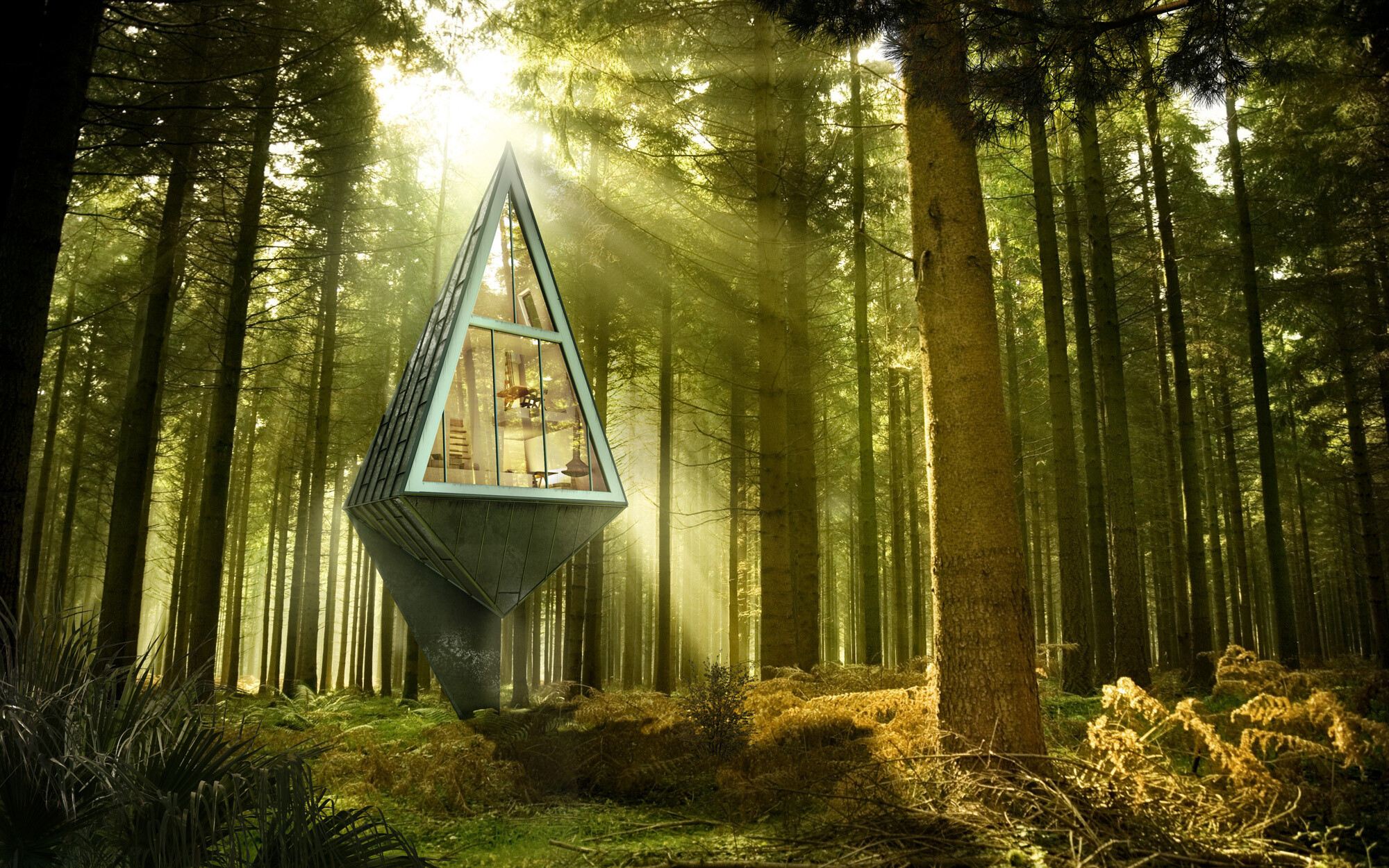 Дом дерево где находится. Домик в лесу. Дом в лесу. Природа и архитектура. Домик на дереве в лесу.