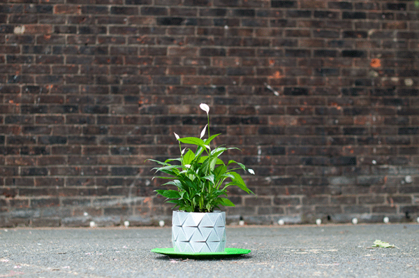 Growth: Origami-Pot That Grows with the Plant
