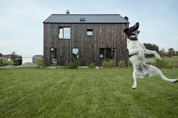 Carbon House: Two-Storey Rural House with a Burnt Wood Exterior