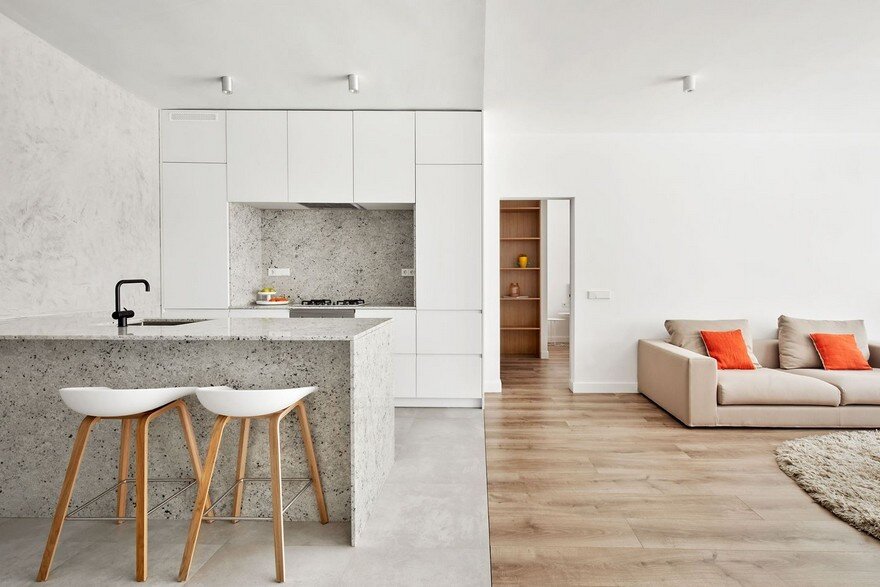 Villarroel Apartment in Barcelona, Raul Sanchez Architects 1