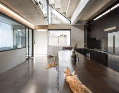 Fuzzy Dentist House / SO Architects