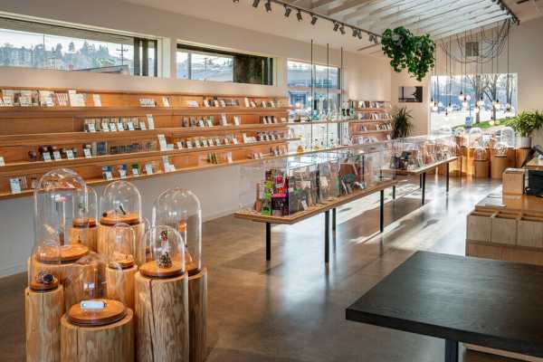 Dockside Cannabis, an Elegant Recreational Cannabis Shop in Seattle