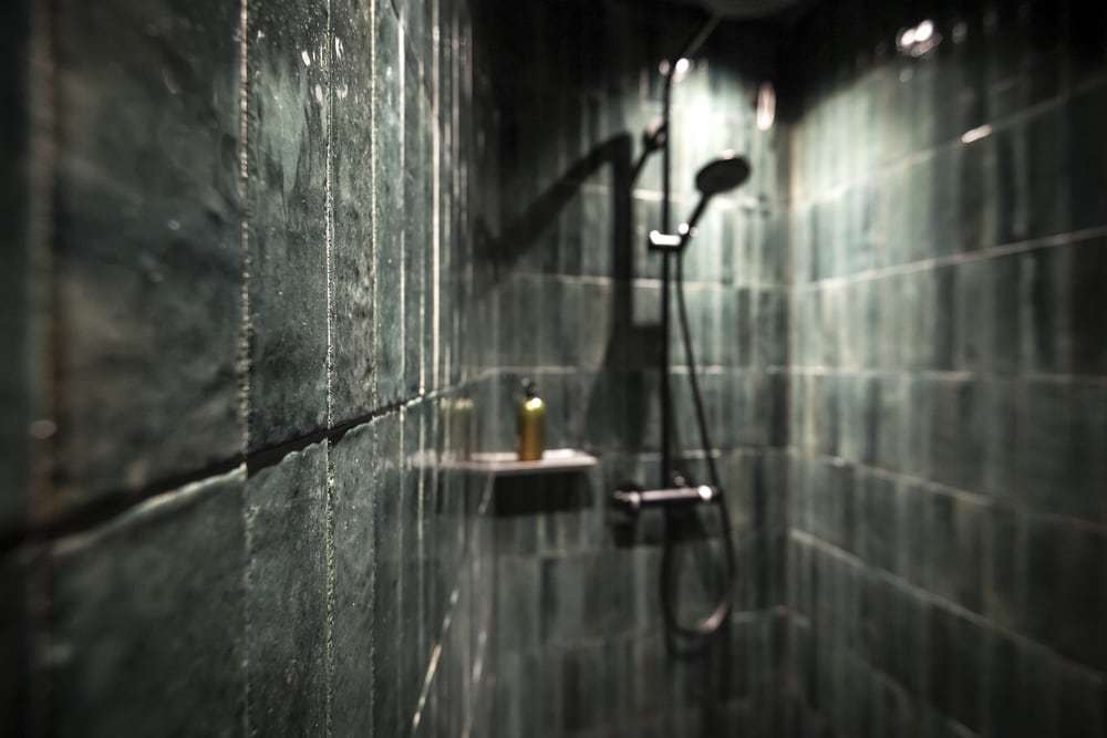 shower, Noa* Network of Architecture