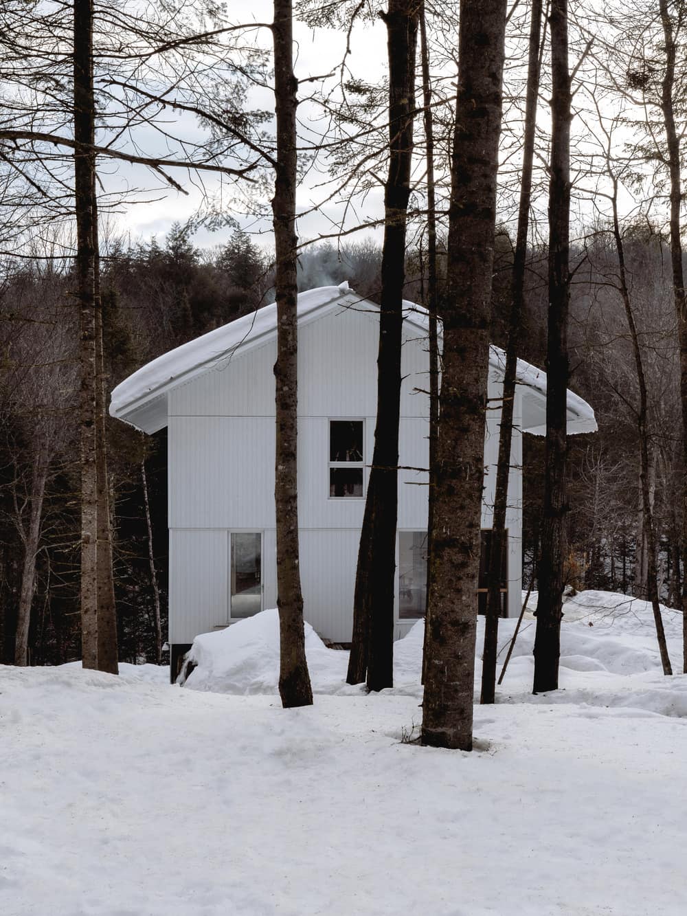 A Winter Home in the Canadian Forest