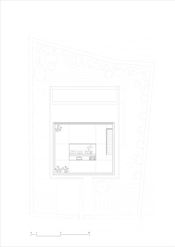 plan 8