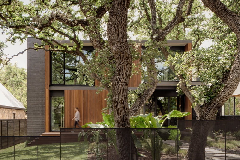 Tree X Tree House / North Arrow Studio