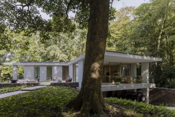 Villa Anchored in Forest Landscape