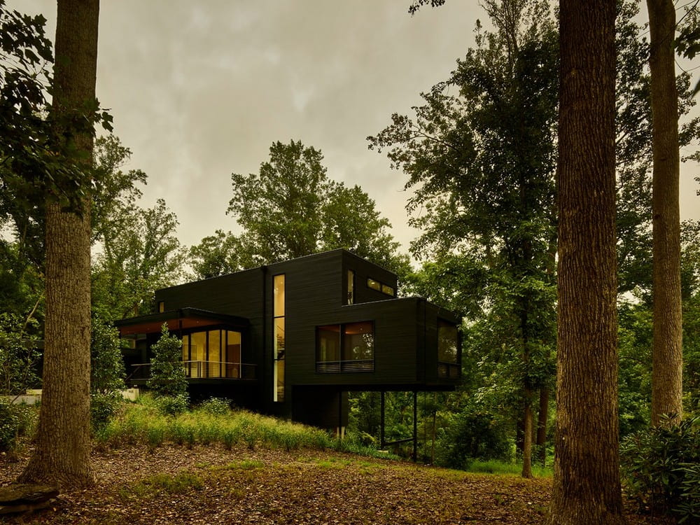 Virginia Treehouse / Robert Young Architects