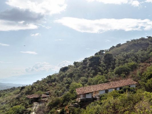 The Leaf on the Hill / Alsar Atelier