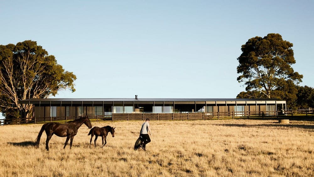 Must-Have Farmhouse Features That Elevate Your Home’s Value and Aesthetic
