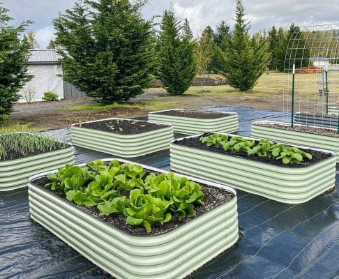 How to Keep Animals out of Raised Garden Beds