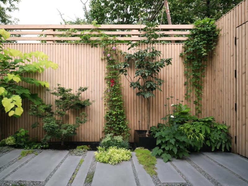 garden