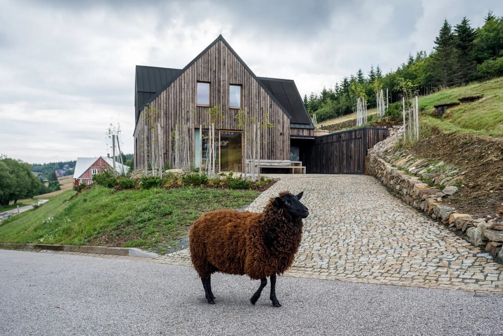 Horní Malá Úpa Mountain Chalet / OK PLAN ARCHITECTS